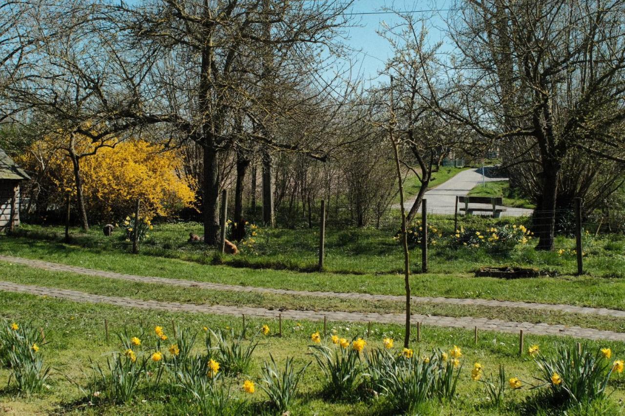 Villa In Den Akker Oudenaarde Esterno foto